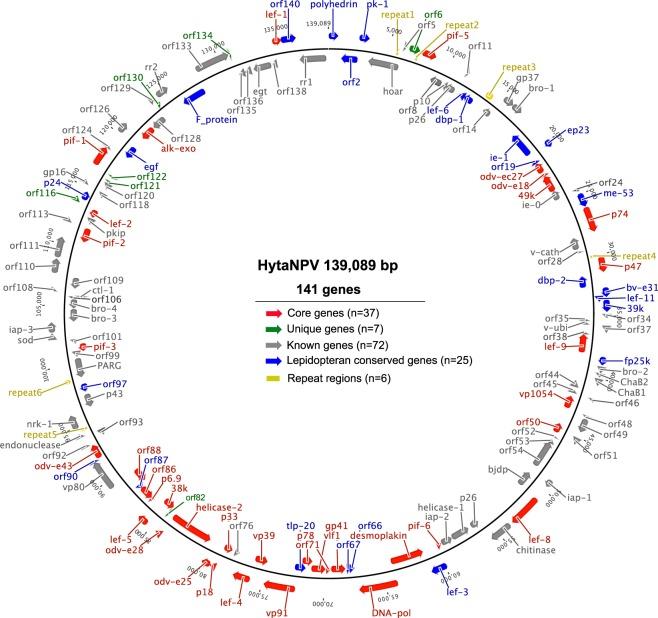 https://cdn.ncbi.nlm.nih.gov/pmc/blobs/ae55/5997678/b4deb11eb94d/41598_2018_27084_Fig2_HTML.jpg