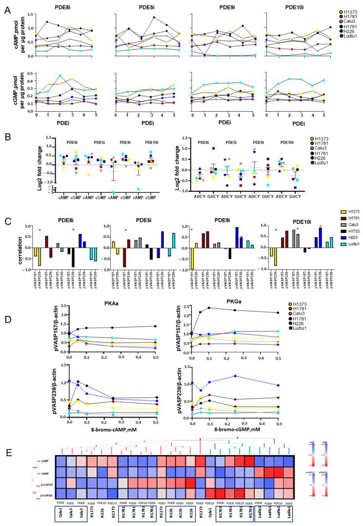 https://cdn.ncbi.nlm.nih.gov/pmc/blobs/ae57/11240499/615ff64ceb55/cancers-16-02475-g002.jpg