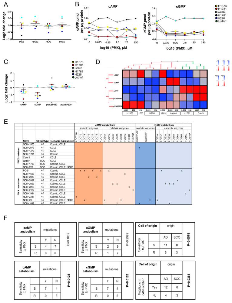 https://cdn.ncbi.nlm.nih.gov/pmc/blobs/ae57/11240499/9fa6ee4e87c3/cancers-16-02475-g004.jpg