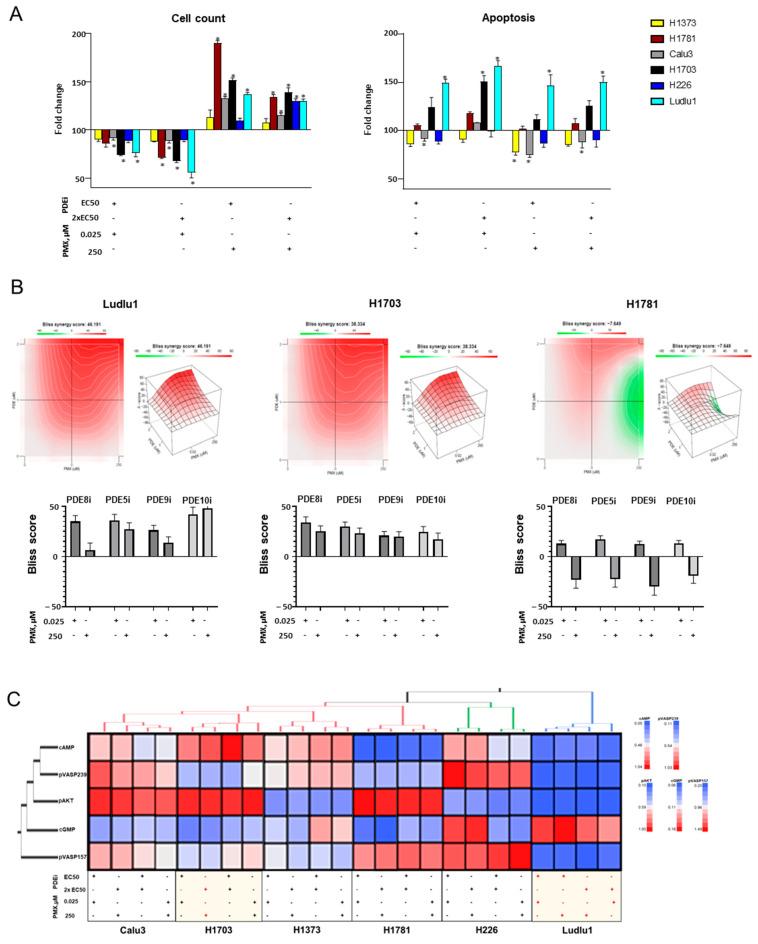 https://cdn.ncbi.nlm.nih.gov/pmc/blobs/ae57/11240499/a0bf73fa0668/cancers-16-02475-g005.jpg