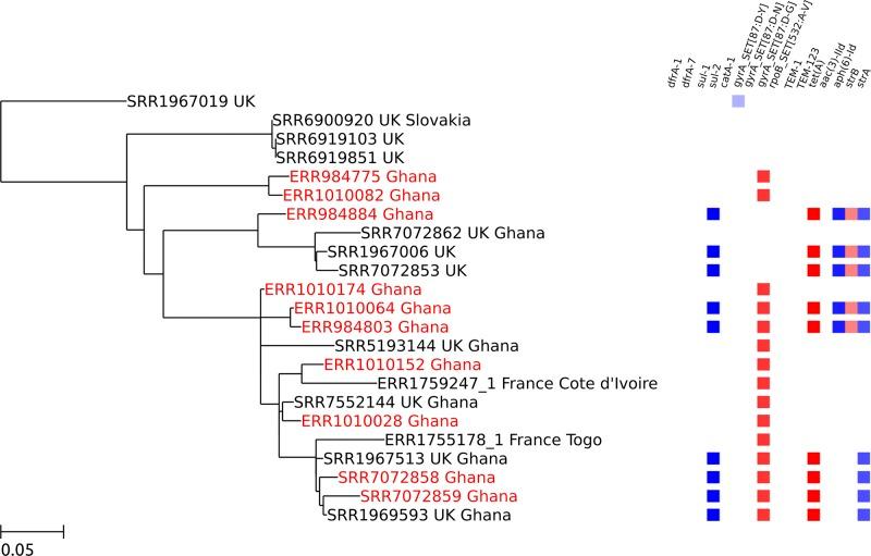 https://cdn.ncbi.nlm.nih.gov/pmc/blobs/ae58/6605661/3c9bfeaaf36c/pntd.0007485.g002.jpg