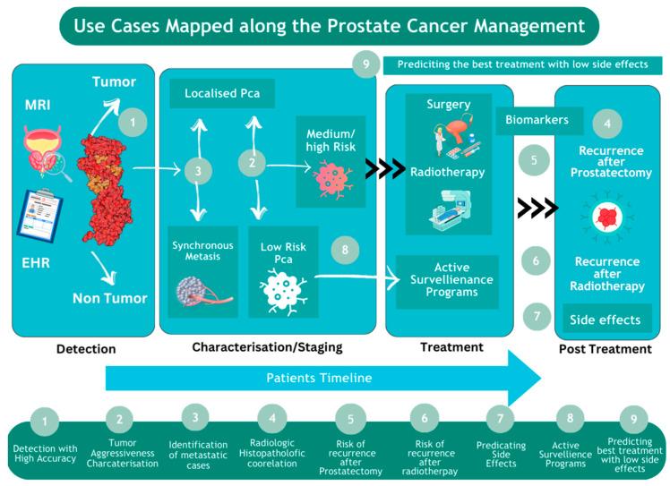 https://cdn.ncbi.nlm.nih.gov/pmc/blobs/ae5c/11119252/35583b335b28/cancers-16-01809-g002.jpg