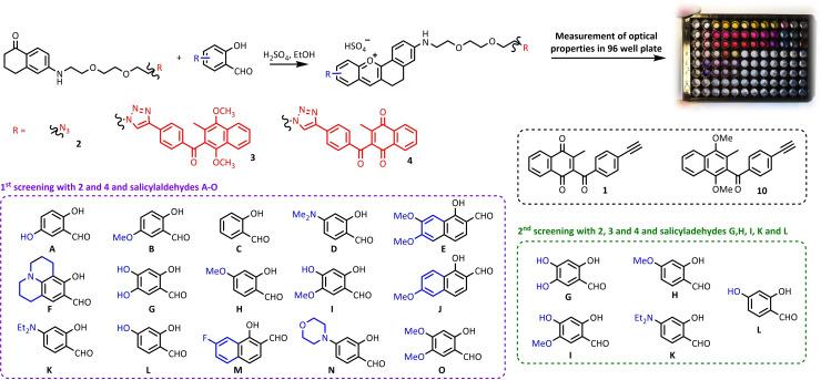 https://cdn.ncbi.nlm.nih.gov/pmc/blobs/ae5f/11771622/44e25ea57c5e/CHEM-31-e202403691-g002.jpg