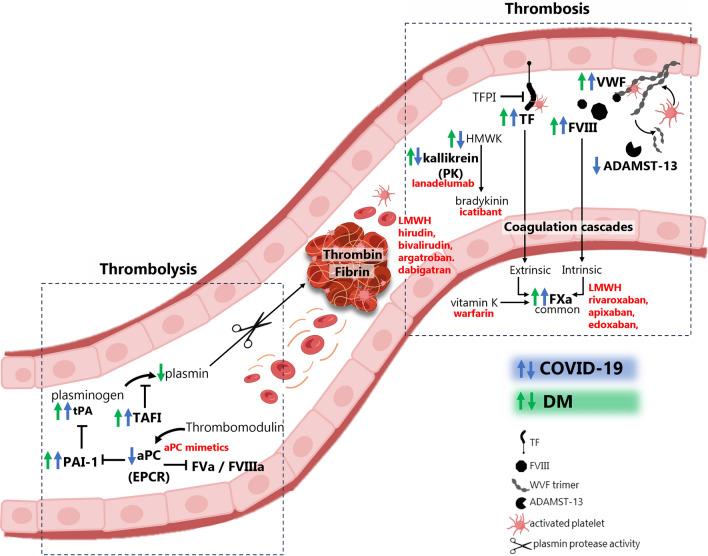 https://cdn.ncbi.nlm.nih.gov/pmc/blobs/ae61/10880237/2006839ffe86/12933_2023_2097_Fig3_HTML.jpg