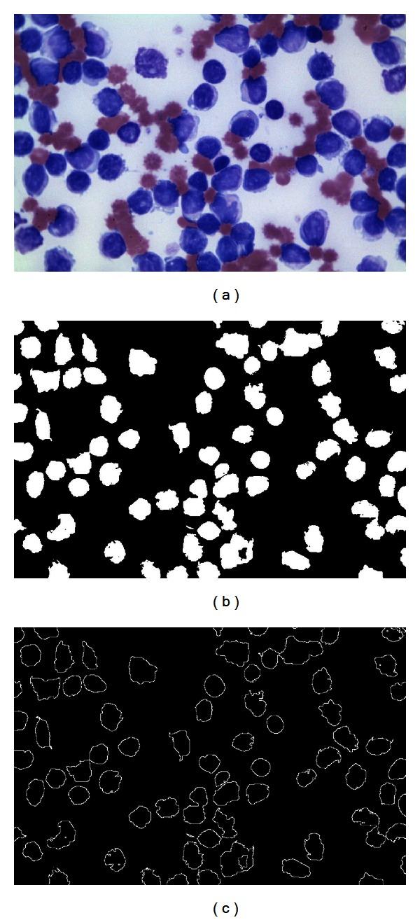 https://cdn.ncbi.nlm.nih.gov/pmc/blobs/ae62/3671513/9b5d8b3ecb34/CMMM2013-137392.006.jpg