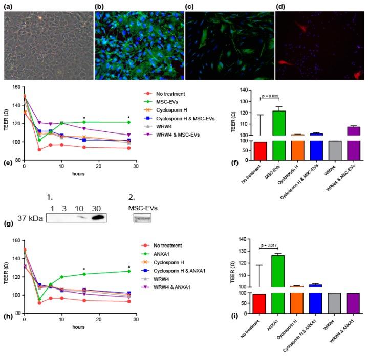https://cdn.ncbi.nlm.nih.gov/pmc/blobs/ae65/6406389/dd32c2f0a27f/jcm-08-00137-g004.jpg