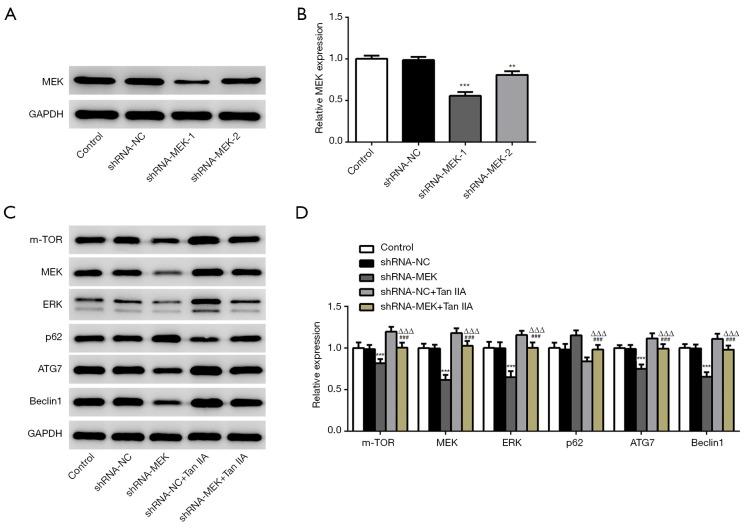 https://cdn.ncbi.nlm.nih.gov/pmc/blobs/ae68/8797932/f8fe58cb4f2a/tcr-09-11-6919-f6.jpg