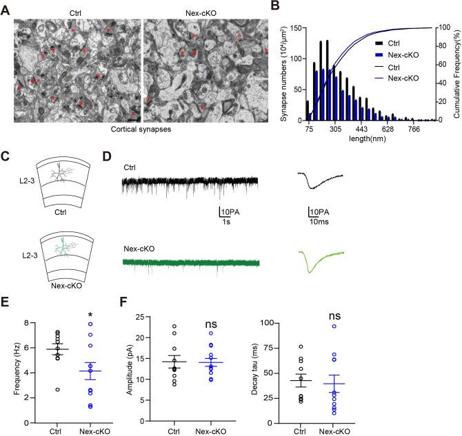 https://cdn.ncbi.nlm.nih.gov/pmc/blobs/ae6a/10465473/4ab03267e899/12264_2022_997_Fig5_HTML.jpg