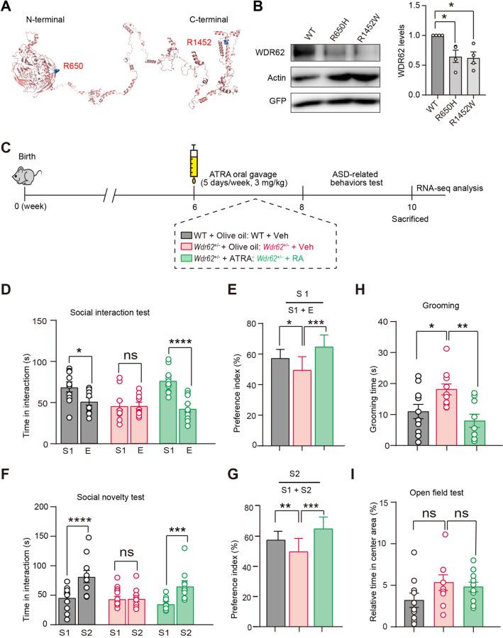 https://cdn.ncbi.nlm.nih.gov/pmc/blobs/ae6a/10465473/59dea710e907/12264_2022_997_Fig6_HTML.jpg