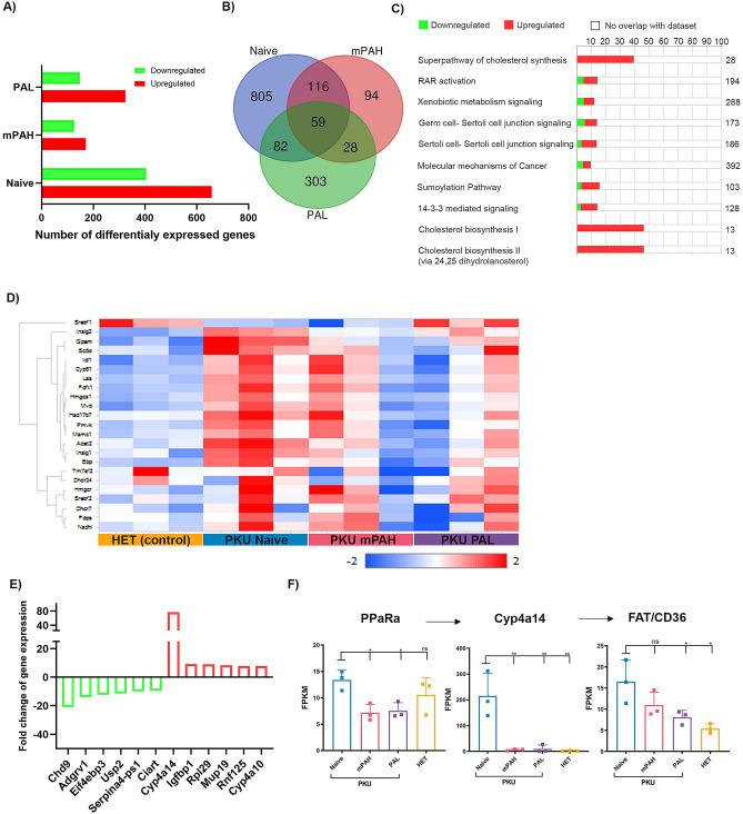https://cdn.ncbi.nlm.nih.gov/pmc/blobs/ae6a/8613214/8996911a8145/41598_2021_2267_Fig5_HTML.jpg