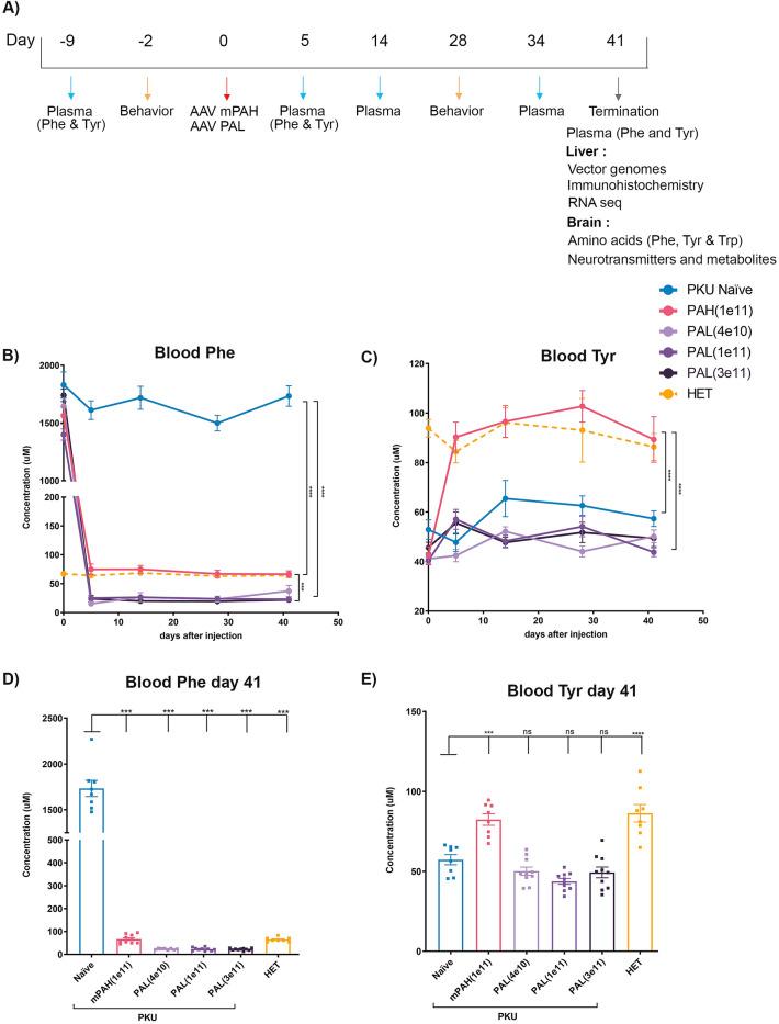 https://cdn.ncbi.nlm.nih.gov/pmc/blobs/ae6a/8613214/b33a93dac889/41598_2021_2267_Fig1_HTML.jpg