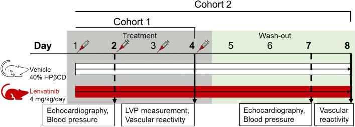 https://cdn.ncbi.nlm.nih.gov/pmc/blobs/ae6b/11816767/d20cd140b749/40959_2025_307_Fig1_HTML.jpg