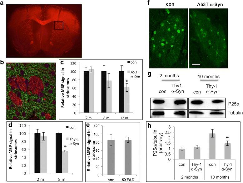 https://cdn.ncbi.nlm.nih.gov/pmc/blobs/ae6b/5421332/f084699a0e49/40478_2017_439_Fig4_HTML.jpg