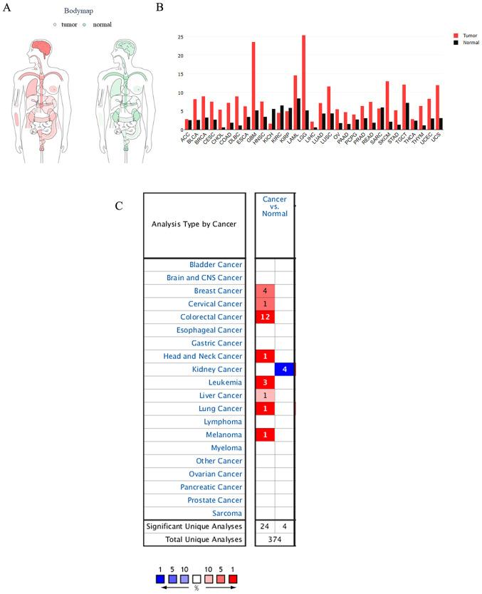 https://cdn.ncbi.nlm.nih.gov/pmc/blobs/ae6b/7475639/125973327722/ol-20-05-12035-g00.jpg
