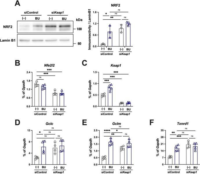 https://cdn.ncbi.nlm.nih.gov/pmc/blobs/ae6d/10372716/73b97f8f69e7/mvad030f3.jpg