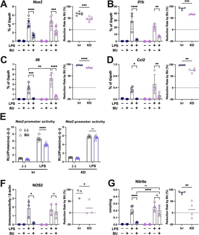 https://cdn.ncbi.nlm.nih.gov/pmc/blobs/ae6d/10372716/b8f4088ca6a7/mvad030f7.jpg