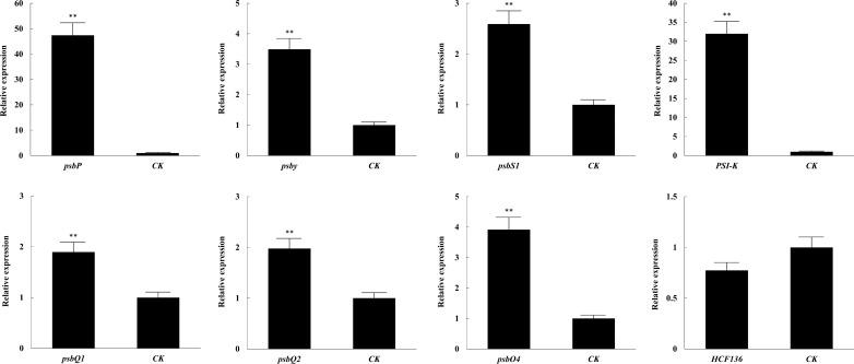 https://cdn.ncbi.nlm.nih.gov/pmc/blobs/ae6d/8403421/75f39826d9e3/12951_2021_1005_Fig7_HTML.jpg