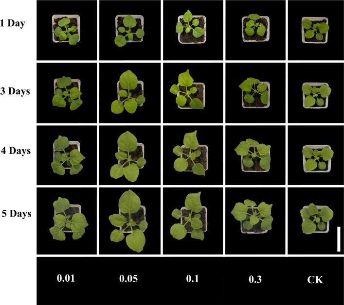https://cdn.ncbi.nlm.nih.gov/pmc/blobs/ae6d/8403421/b8dfe17b2d82/12951_2021_1005_Fig3_HTML.jpg