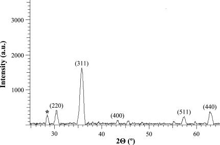 https://cdn.ncbi.nlm.nih.gov/pmc/blobs/ae6e/2914263/220e894ed09f/232_2010_9271_Fig2_HTML.jpg