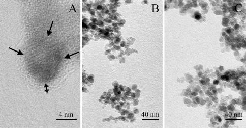 https://cdn.ncbi.nlm.nih.gov/pmc/blobs/ae6e/2914263/fbd6fa4ec1aa/232_2010_9271_Fig1_HTML.jpg