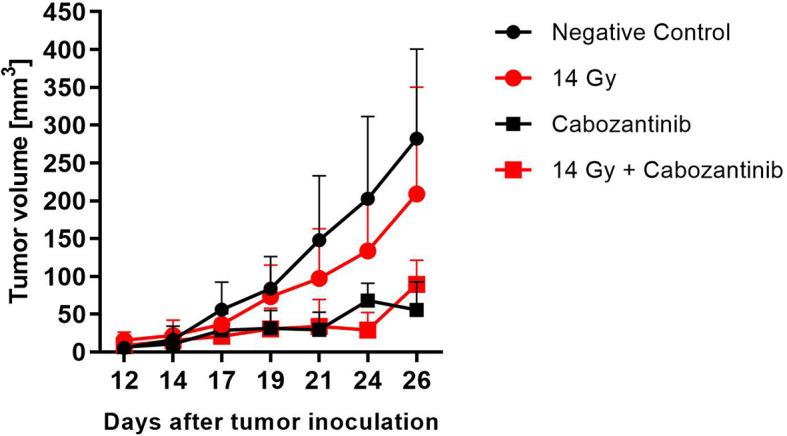 https://cdn.ncbi.nlm.nih.gov/pmc/blobs/ae70/8692262/3b31dc2eb1c0/fonc-11-788182-g004.jpg