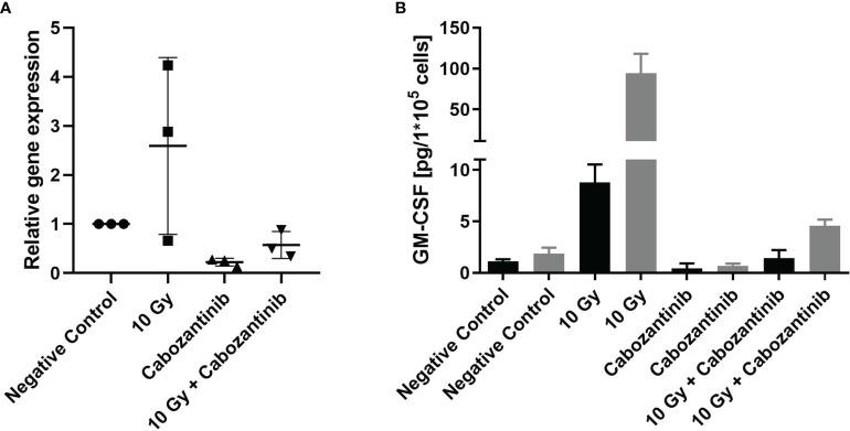 https://cdn.ncbi.nlm.nih.gov/pmc/blobs/ae70/8692262/6ea3484b30d2/fonc-11-788182-g007.jpg