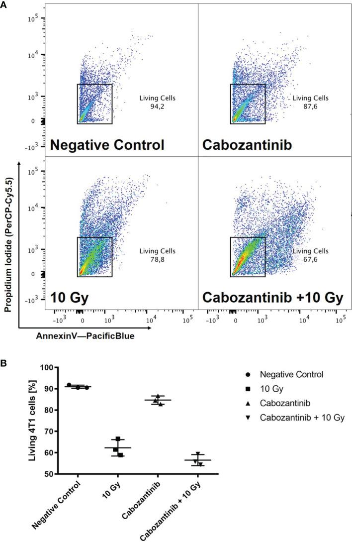 https://cdn.ncbi.nlm.nih.gov/pmc/blobs/ae70/8692262/90e94b6f90cd/fonc-11-788182-g003.jpg