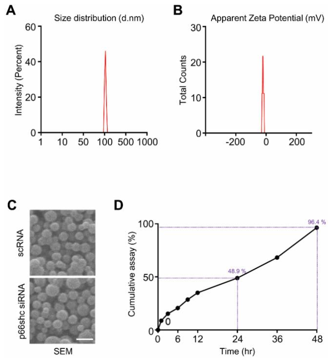 https://cdn.ncbi.nlm.nih.gov/pmc/blobs/ae71/7284875/60300af529bc/polymers-12-01014-g001.jpg