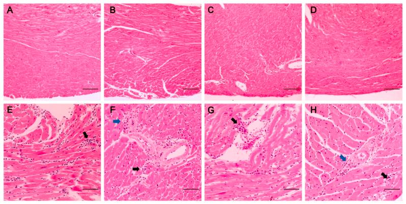 https://cdn.ncbi.nlm.nih.gov/pmc/blobs/ae72/9253553/bd5c51bf7ffa/gr4.jpg