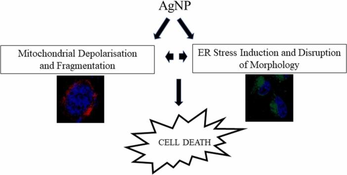 https://cdn.ncbi.nlm.nih.gov/pmc/blobs/ae73/9742960/957ab657d0a2/ga1.jpg