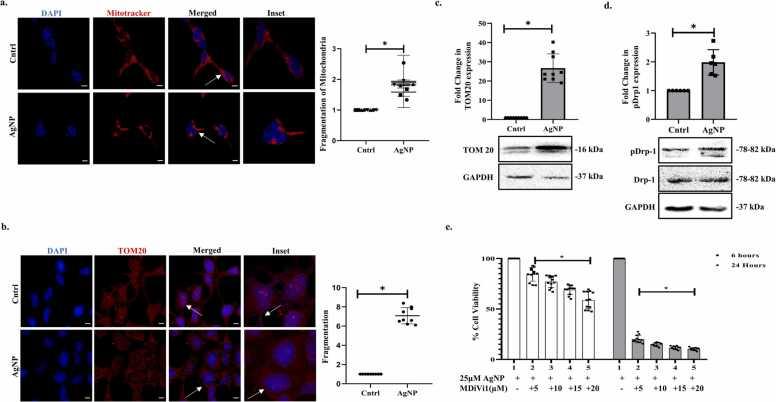 https://cdn.ncbi.nlm.nih.gov/pmc/blobs/ae73/9742960/98b8d6d521af/gr2.jpg