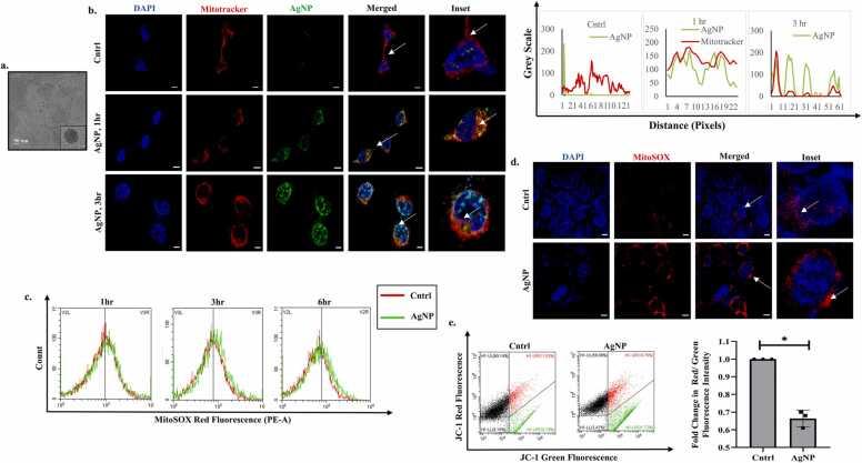 https://cdn.ncbi.nlm.nih.gov/pmc/blobs/ae73/9742960/b764bb2be9fd/gr1.jpg