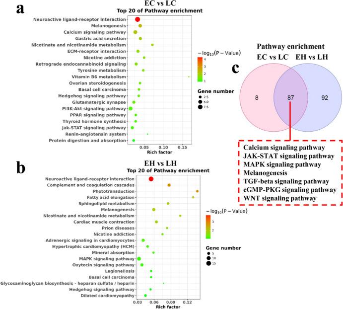 https://cdn.ncbi.nlm.nih.gov/pmc/blobs/ae74/11427531/40cc7487628d/10528_2023_10643_Fig4_HTML.jpg