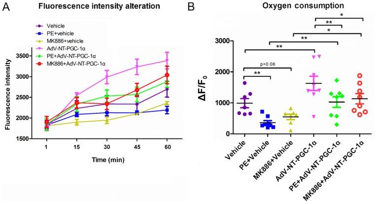 https://cdn.ncbi.nlm.nih.gov/pmc/blobs/ae74/6072228/2f1860f105dd/MMR-18-02-2142-g04.jpg