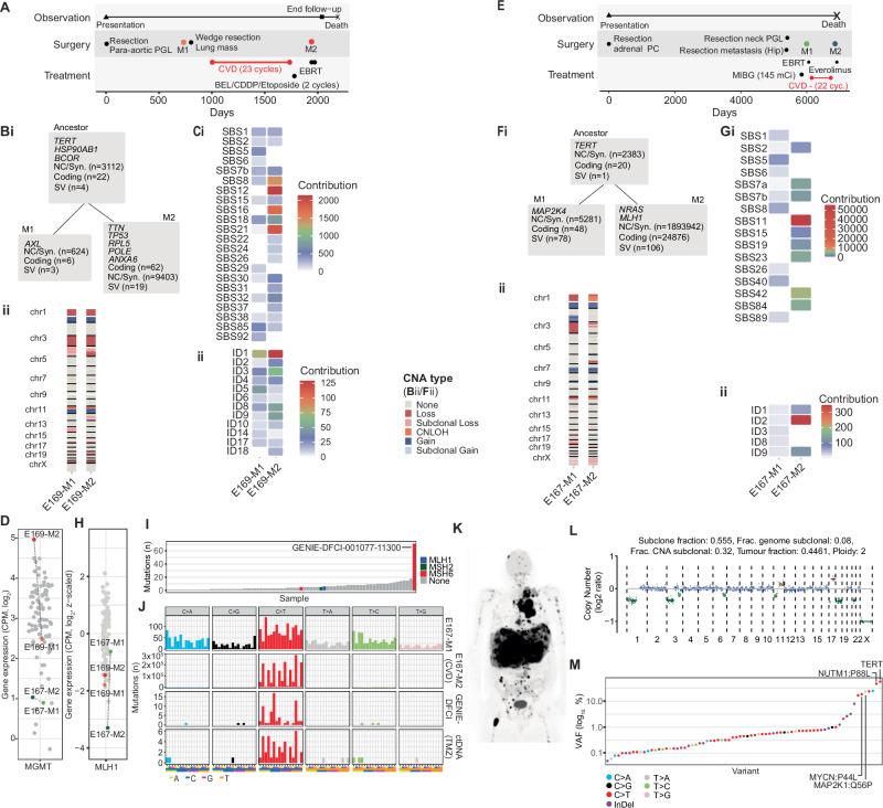 https://cdn.ncbi.nlm.nih.gov/pmc/blobs/ae75/11914184/8ad5a9a785ec/41467_2025_57595_Fig8_HTML.jpg