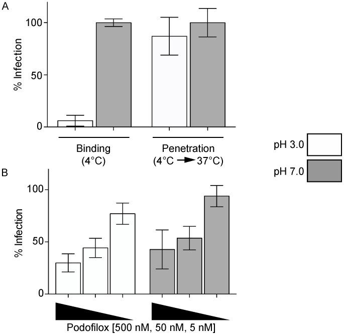 https://cdn.ncbi.nlm.nih.gov/pmc/blobs/ae75/5086627/890dff3e754f/viruses-08-00295-g004.jpg