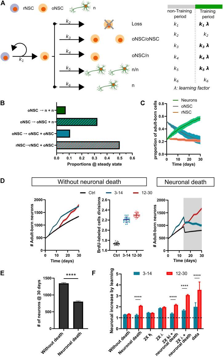 https://cdn.ncbi.nlm.nih.gov/pmc/blobs/ae75/9130729/4d22407013a9/fcell-10-840964-g006.jpg