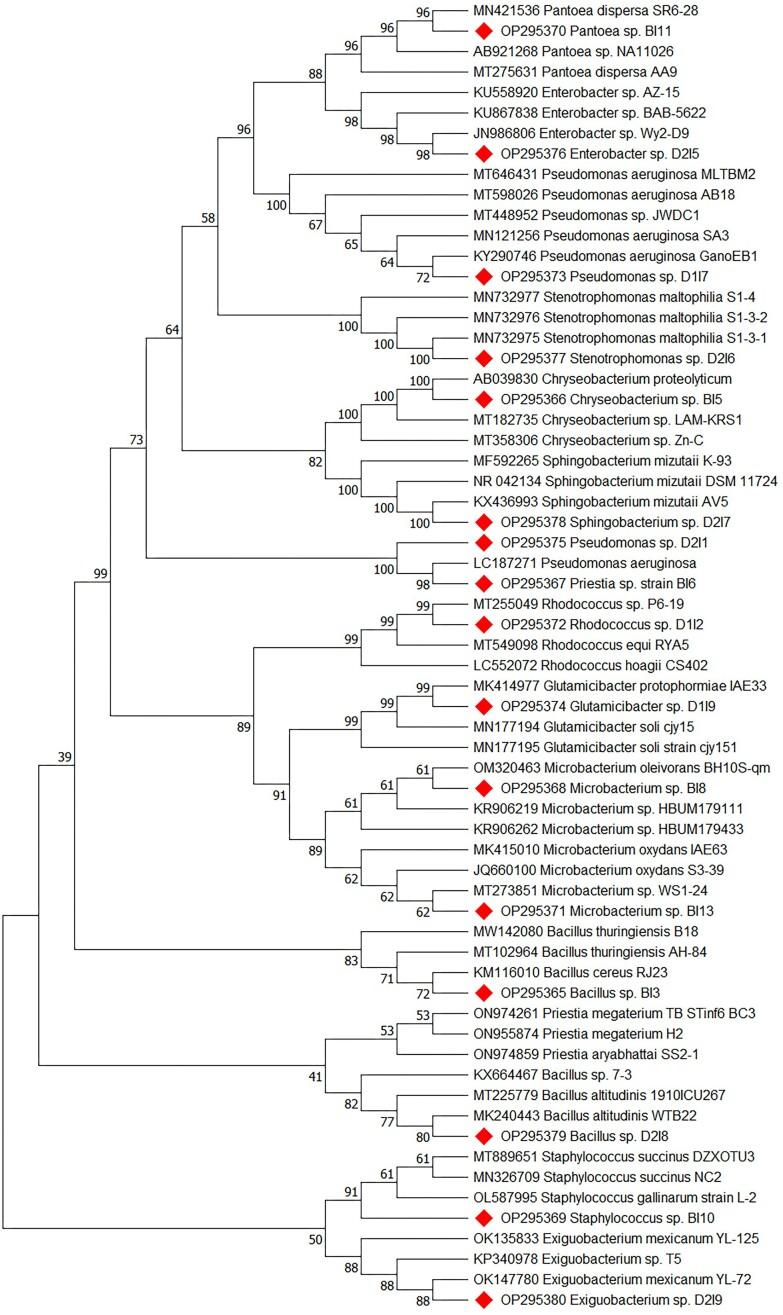 https://cdn.ncbi.nlm.nih.gov/pmc/blobs/ae76/10923292/c30e12baf81b/xtae004fig2.jpg