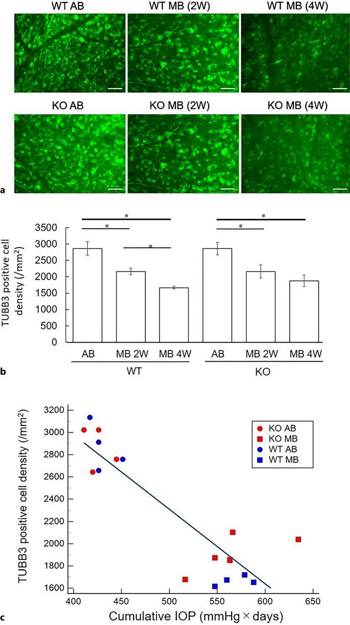 https://cdn.ncbi.nlm.nih.gov/pmc/blobs/ae77/10614569/0e870d12073f/ore-2023-0066-0001-533497_F02.jpg