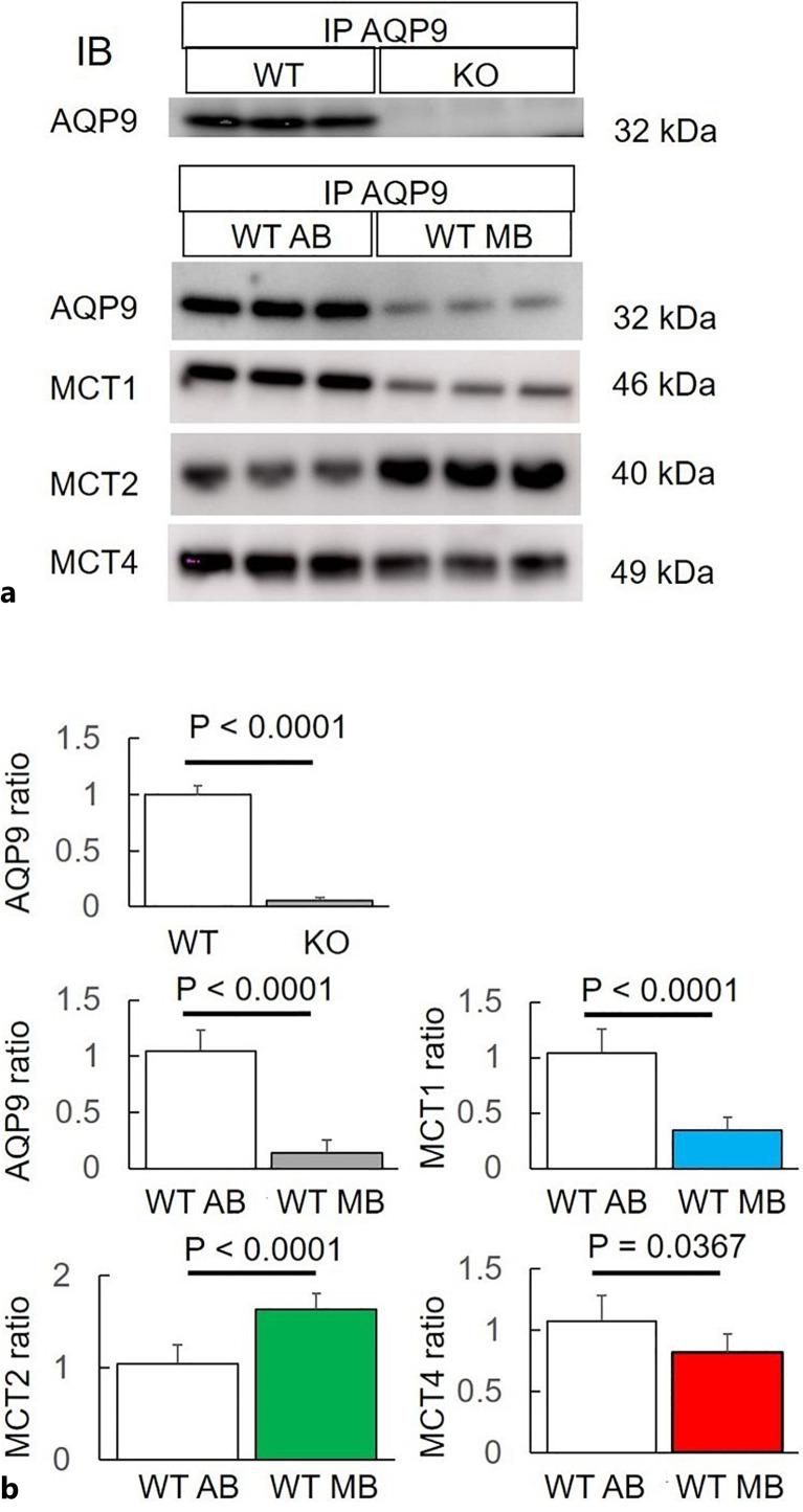 https://cdn.ncbi.nlm.nih.gov/pmc/blobs/ae77/10614569/75d0fe28944a/ore-2023-0066-0001-533497_F05.jpg