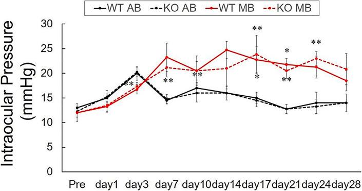 https://cdn.ncbi.nlm.nih.gov/pmc/blobs/ae77/10614569/db8bee0a07da/ore-2023-0066-0001-533497_F01.jpg