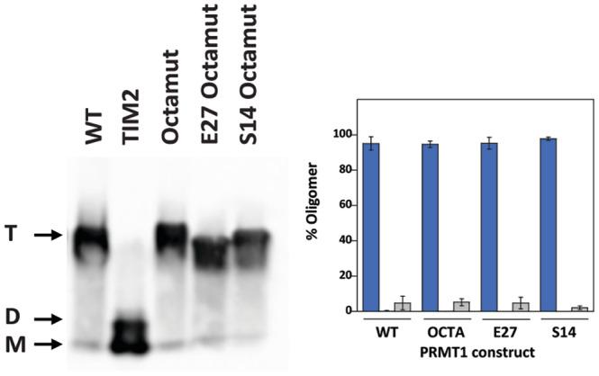 https://cdn.ncbi.nlm.nih.gov/pmc/blobs/ae78/11255602/2901a00e1f22/PRO-33-e5118-g008.jpg