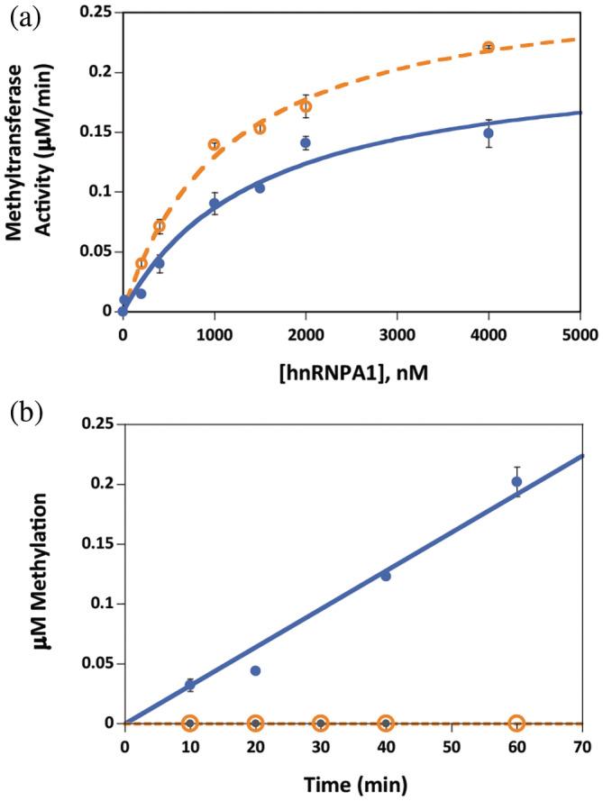 https://cdn.ncbi.nlm.nih.gov/pmc/blobs/ae78/11255602/add2838369b2/PRO-33-e5118-g005.jpg