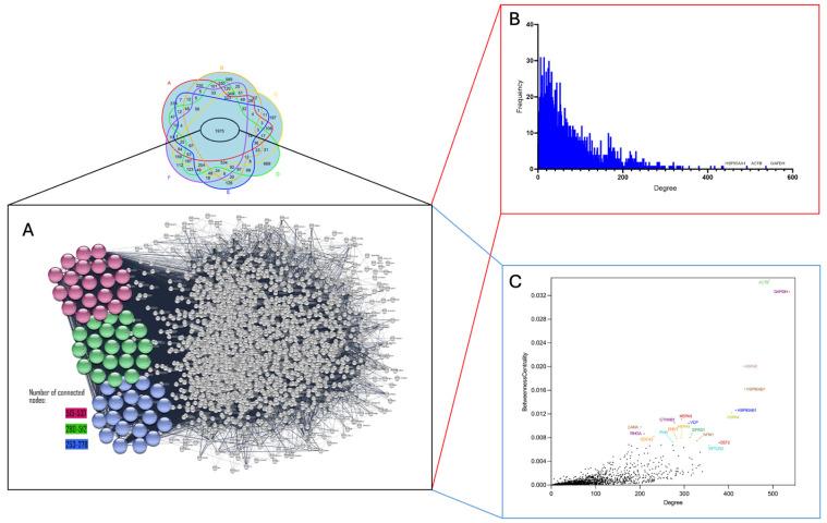 https://cdn.ncbi.nlm.nih.gov/pmc/blobs/ae78/12196815/5c2adaad6a4d/proteomes-13-00020-g004.jpg