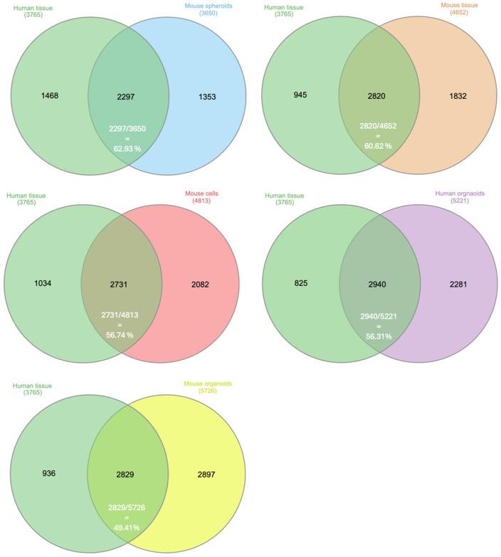 https://cdn.ncbi.nlm.nih.gov/pmc/blobs/ae78/12196815/6e80b7167262/proteomes-13-00020-g002.jpg