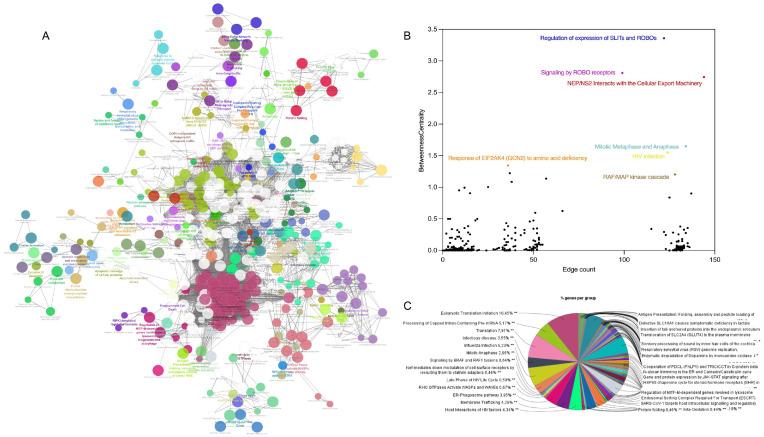 https://cdn.ncbi.nlm.nih.gov/pmc/blobs/ae78/12196815/e17ab56c86e2/proteomes-13-00020-g005.jpg