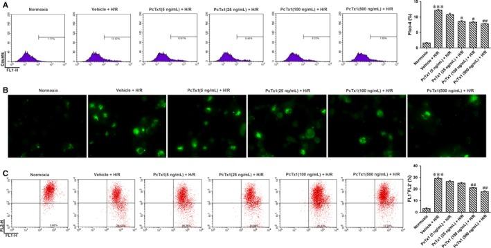 https://cdn.ncbi.nlm.nih.gov/pmc/blobs/ae78/6484315/7d274a5f68fb/JCMM-23-3429-g005.jpg