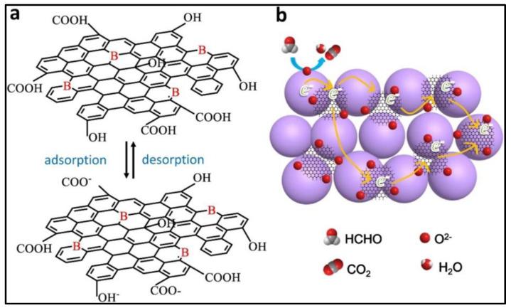 https://cdn.ncbi.nlm.nih.gov/pmc/blobs/ae79/10780593/68156c3311c6/nanomaterials-14-00011-g011.jpg