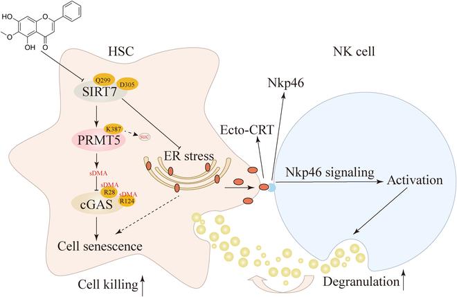 https://cdn.ncbi.nlm.nih.gov/pmc/blobs/ae7a/12329212/07d5da06ad7b/research.0808.fig.009.jpg