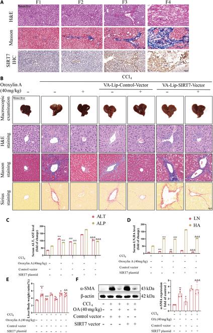 https://cdn.ncbi.nlm.nih.gov/pmc/blobs/ae7a/12329212/4ca320f1c267/research.0808.fig.006.jpg